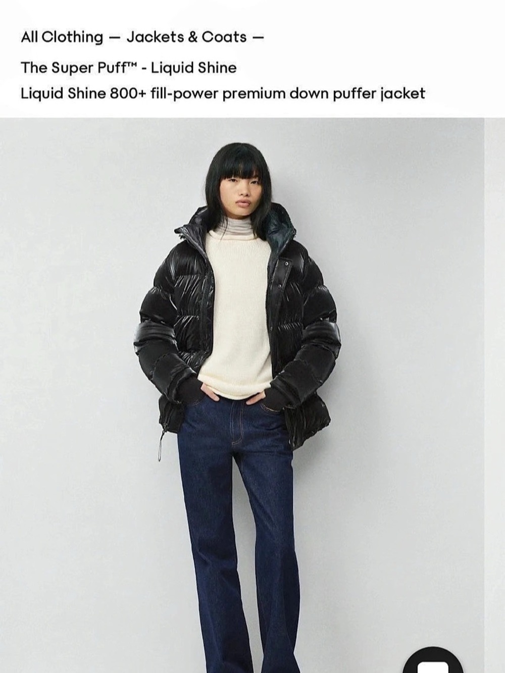 Aritzia The Super Puff - Liquid Shine Puffer in Black Size L